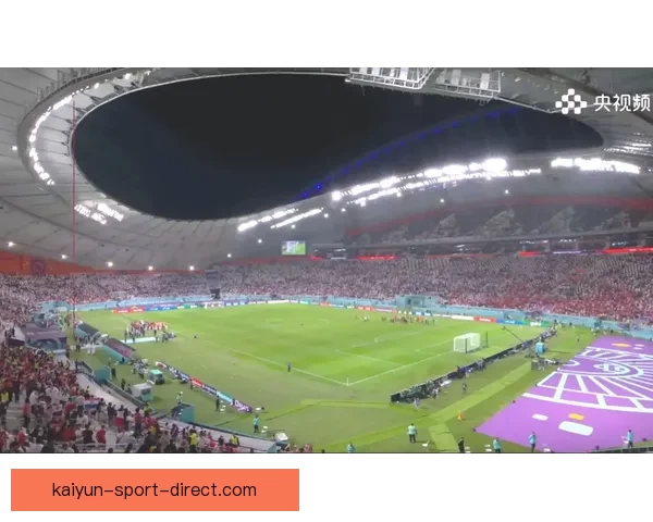 开云体育世界杯全景解析精彩赛事焦点与球迷热议指南